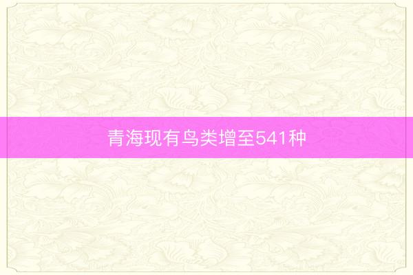 青海现有鸟类增至541种