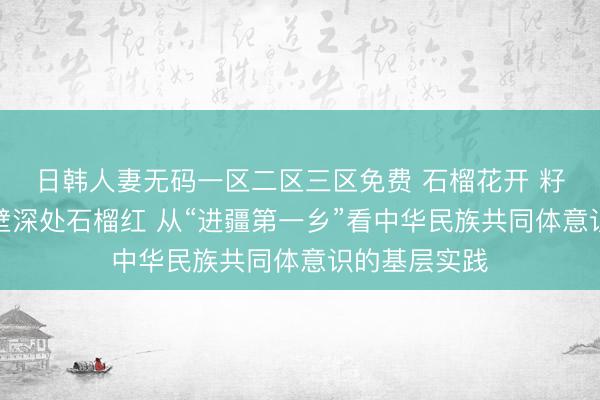 日韩人妻无码一区二区三区免费 石榴花开 籽籽同心丨戈壁深处石榴红 从“进疆第一乡”看中华民族共同体意识的基层实践