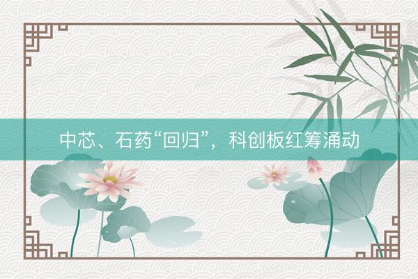中芯、石药“回归”，科创板红筹涌动