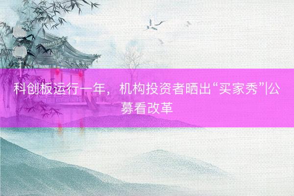 科创板运行一年,机构投资者晒出“买家秀”|公募看改革