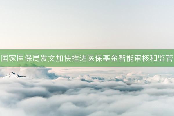 国家医保局发文加快推进医保基金智能审核和监管