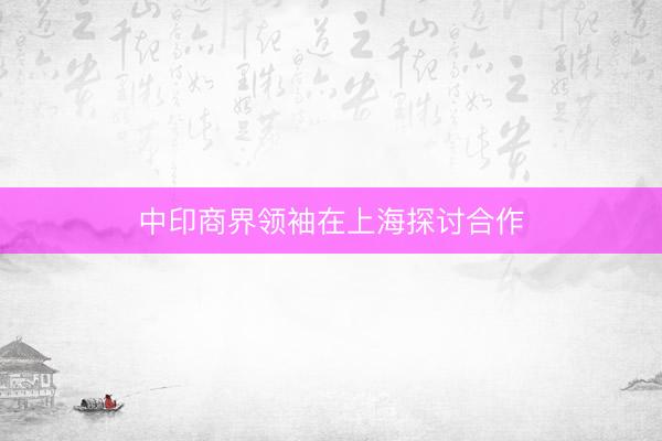 中印商界领袖在上海探讨合作