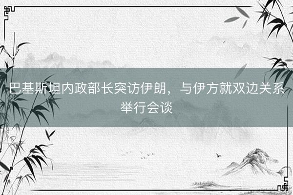 巴基斯坦内政部长突访伊朗，与伊方就双边关系举行会谈