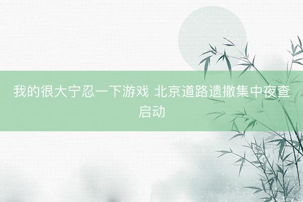 我的很大宁忍一下游戏 北京道路遗撒集中夜查启动