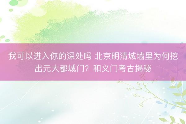 我可以进入你的深处吗 北京明清城墙里为何挖出元大都城门？和义门考古揭秘