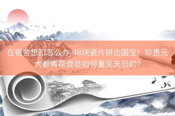 在宿舍想扣怎么办 48块瓷片拼出国宝！珍贵元大都青花瓷是如何重见天日的？