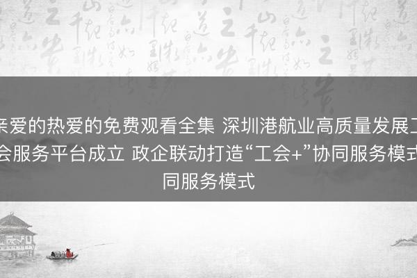 亲爱的热爱的免费观看全集 深圳港航业高质量发展工会服务平台成立 政企联动打造“工会+”协同服务模式