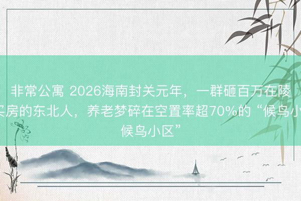 非常公寓 2026海南封关元年，一群砸百万在陵水买房的东北人，养老梦碎在空置率超70%的 “候鸟小区”