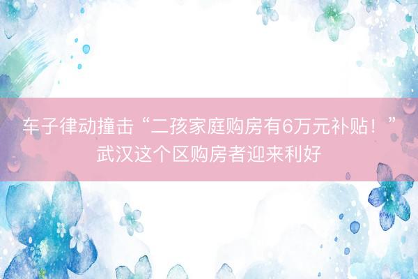 车子律动撞击 “二孩家庭购房有6万元补贴！”武汉这个区购房者迎来利好