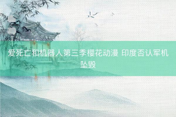 爱死亡和机器人第三季樱花动漫 印度否认军机坠毁