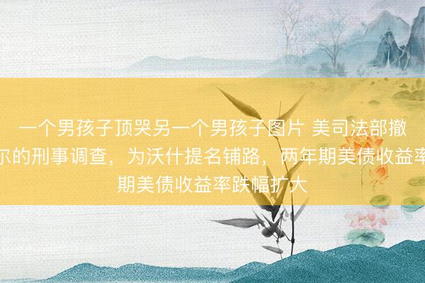 一个男孩子顶哭另一个男孩子图片 美司法部撤销对鲍威尔的刑事调查，为沃什提名铺路，两年期美债收益率跌幅扩大