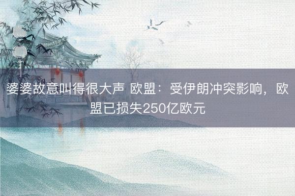 婆婆故意叫得很大声 欧盟：受伊朗冲突影响，欧盟已损失250亿欧元