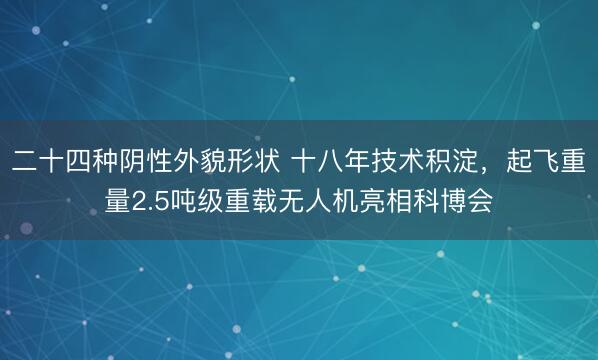 二十四种阴性外貌形状 十八年技术积淀，起飞重量2.5吨级重载无人机亮相科博会