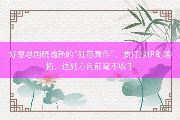 好意思国晓谕新的“狂怒算作”，要打服伊朗落拓，达到方向前毫不收手