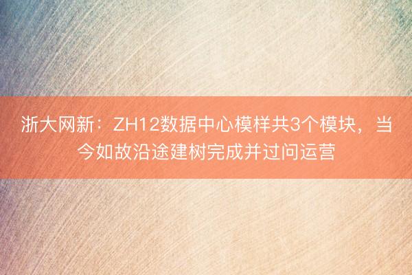 浙大网新：ZH12数据中心模样共3个模块，当今如故沿途建树完成并过问运营