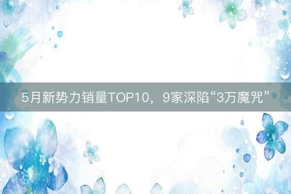 5月新势力销量TOP10，9家深陷“3万魔咒”