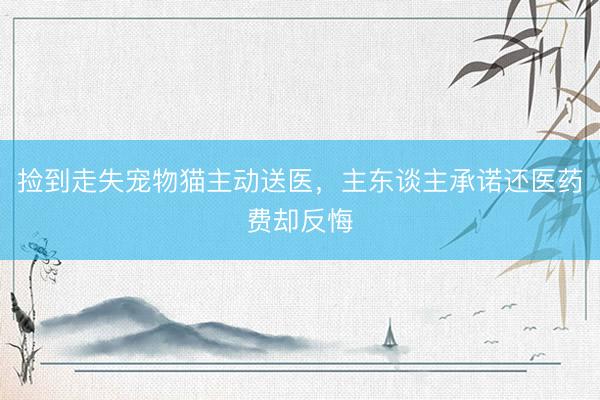 捡到走失宠物猫主动送医，主东谈主承诺还医药费却反悔