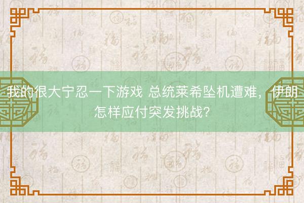 我的很大宁忍一下游戏 总统莱希坠机遭难，伊朗怎样应付突发挑战？