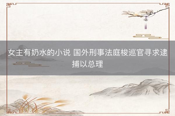 女主有奶水的小说 国外刑事法庭梭巡官寻求逮捕以总理