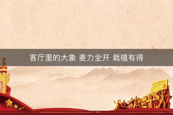 客厅里的大象 麦力全开 栽植有得