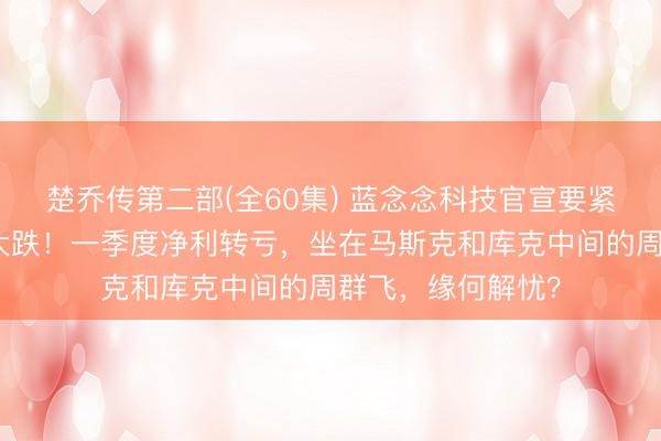 楚乔传第二部(全60集) 蓝念念科技官宣要紧收购，两边股价大跌！一季度净利转亏，坐在马斯克和库克中间的周群飞，缘何解忧？