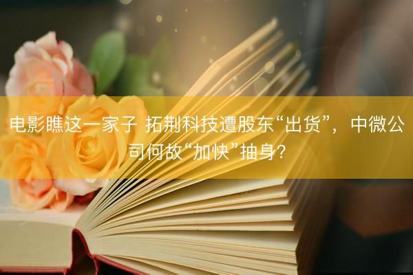 电影瞧这一家子 拓荆科技遭股东“出货”，中微公司何故“加快”抽身？