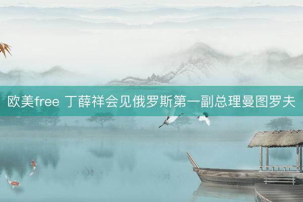 欧美free 丁薛祥会见俄罗斯第一副总理曼图罗夫
