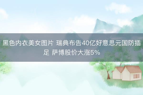 黑色内衣美女图片 瑞典布告40亿好意思元国防插足 萨博股价大涨5%