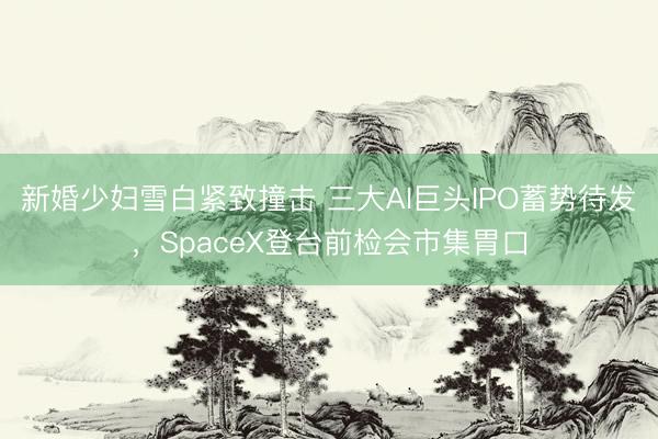 新婚少妇雪白紧致撞击 三大AI巨头IPO蓄势待发，SpaceX登台前检会市集胃口