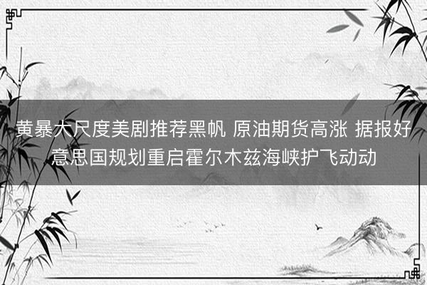 黄暴大尺度美剧推荐黑帆 原油期货高涨 据报好意思国规划重启霍尔木兹海峡护飞动动