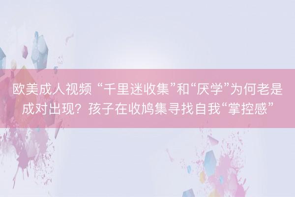 欧美成人视频 “千里迷收集”和“厌学”为何老是成对出现？孩子在收鸠集寻找自我“掌控感”