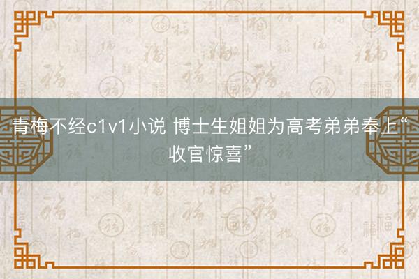 青梅不经c1v1小说 博士生姐姐为高考弟弟奉上“收官惊喜”