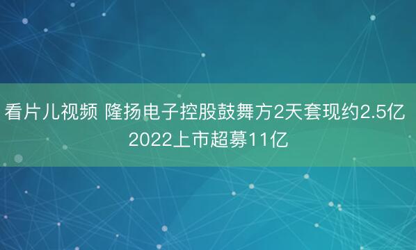 看片儿视频 隆扬电子控股鼓舞方2天套现约2.5亿 2022上市超募11亿