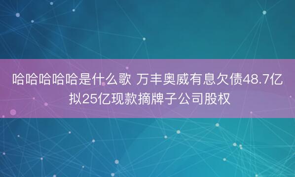 哈哈哈哈哈是什么歌 万丰奥威有息欠债48.7亿 拟25亿现款摘牌子公司股权