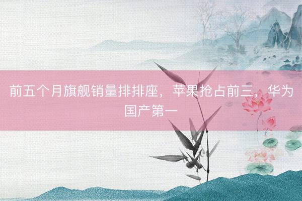 前五个月旗舰销量排排座，苹果抢占前三，华为国产第一
