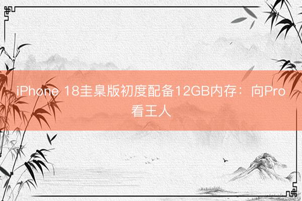 iPhone 18圭臬版初度配备12GB内存：向Pro看王人