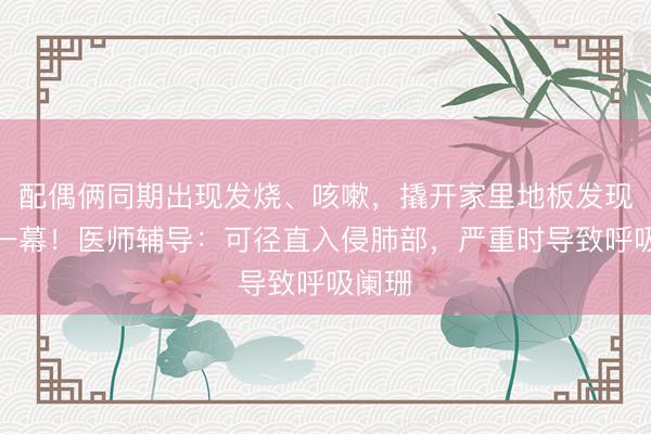 配偶俩同期出现发烧、咳嗽，撬开家里地板发现畏惧一幕！医师辅导：可径直入侵肺部，严重时导致呼吸阑珊