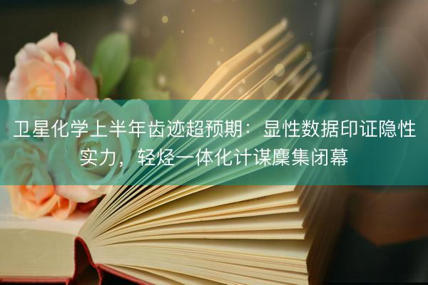 卫星化学上半年齿迹超预期：显性数据印证隐性实力，轻烃一体化计谋麇集闭幕