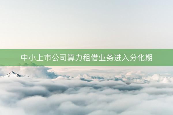 中小上市公司算力租借业务进入分化期